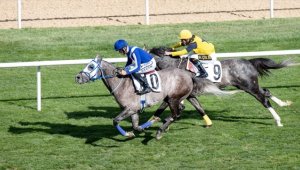 61. TBMM Koşusu'nu "Derya Ateşi" kazandı