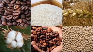 ABD'deki güçlü ekonomik aktivitenin dolara talebi artırması emtia piyasasını baskıladı