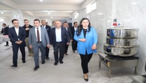 Akıncılar'da üreticiye domates fidesi dağıtıldı