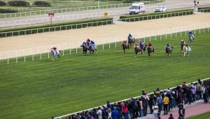 At yarışlarında TBMM Koşusu, Ankara'da yarın yapılacak