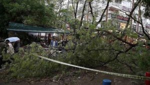 Başkentte şiddetli rüzgar ağaçları devirdi, çatıları uçurdu
