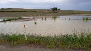 Beypazarı'nda sağanak tarım arazilerine zarar verdi
