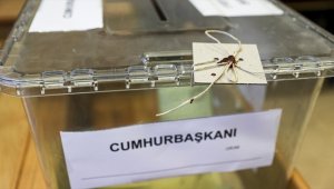 Cumhurbaşkanı seçiminde halkın tercihi 2014'ten bu yana değişmedi