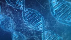 DNA haritası daha fazla insan grubunu kapsayacak şekilde güncellendi