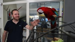 Evinden iş yerine götürdüğü papağan esnafın neşe kaynağı oldu