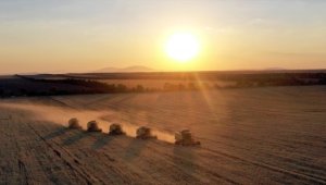 Hububat ve bakliyat ihracatı 4 ayda 3,8 milyar dolara ulaştı