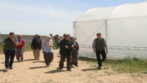 Kırşehir'de KOP ile seracılık yaygınlaşıyor