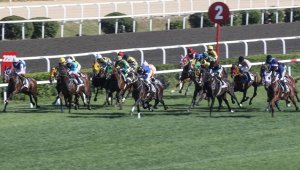 At yarışlarında Gazi Koşusu heyecanı