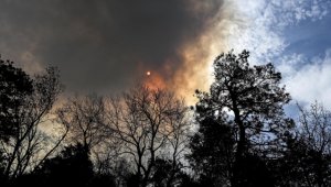 Bilim insanlarına göre, "dünyanın sağlığı" neredeyse tüm ekolojik göstergelerde tehlikeli sınırı aştı