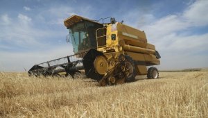 Çiftçilere yaklaşık 3,4 milyar liralık tarımsal destek ödemesi bugün yapılacak