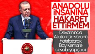 Cumhurbaşkanı Erdoğan: Kimse Anadolu insanına hakaret edemeyecek