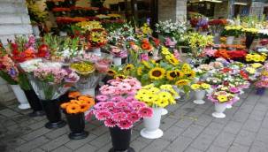 Doğduğunuz ayın çiçeğini biliyor musunuz? Doğum ayı çiçeğiniz kim olduğunuzu ortaya çıkarıyor