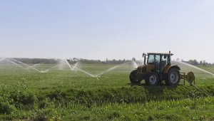 Dünya Bankasından doğal kaynakları daha verimli kullanma çağrısı