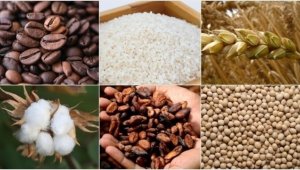 Emtia piyasasında ralli tersine döndü