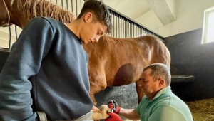 Geleceğin şampiyon adayı taylara "pedikür" hizmeti