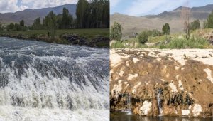 İnci kefali göçünün en güzel izlenebildiği Bendimahi Çayı eski günlerini aratıyor