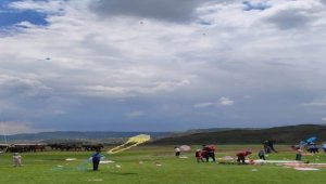 Kayseri'de Hürmetçi Sazlığı'nda uçurtma şenliği düzenlendi