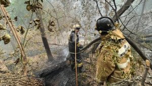 Kazakistan 60 bin hektarlık alanı aşan orman yangınıyla mücadele ediyor