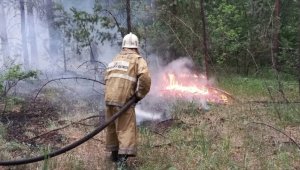 Kazakistan'daki orman yangınında ölen işçilerin sayısı 14'e çıktı