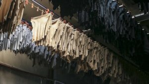 Kurban derilerinin yüzde 30'u hatalı işlemler nedeniyle ekonomiye kazandırılamıyor