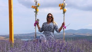 Lavanta tarlaları Tekirdağ için alternatif turizm rotası oldu