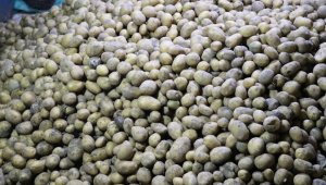 Mayısta fiyatı en fazla artan ürün "patates ve bazı yumru bitkiler", en fazla düşen "doğal gaz" oldu