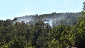 Mersin'de çıkan orman yangını kontrol altına alındı