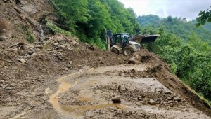 Ordu'da sağanak nedeniyle 65 noktada heyelan oldu