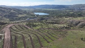 Sivas'ta 100 bin fidanın dikileceği "Türkiye Yüzyılı Valilik Ormanı" oluşturuluyor