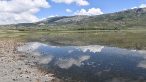 Sivas'ta geçen yıl tamamen kuruyan Tecer Gölü yağışlarla yeniden canlandı
