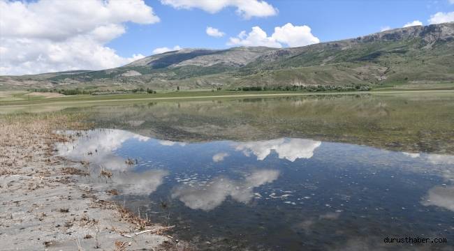 Sivas'ta geçen yıl tamamen kuruyan Tecer Gölü yağışlarla yeniden canlandı