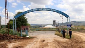 Sivas'ta şap hastalığı nedeniyle kurbanlık hayvan pazarı açılmayacak