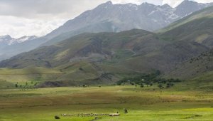 Tunceli'deki Goman Yaylası doğa tutkunlarını ağırlıyor