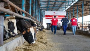 Türk Kızılay, Türkiye ve 21 ülkede kurban eti dağıtmaya başladı