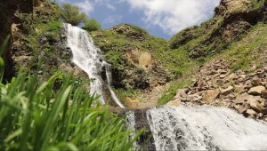 "Uçan su" Susuz Şelalesi, kar ve yağmur sularıyla daha coşkun akıyor