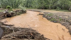 Yozgat'ta sağanak ekili alanlara zarar verdi