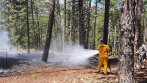 Adana'da çıkan iki orman yangını kontrol altına alındı
