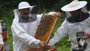 Balın kilogram maliyeti 110,76 lira olarak belirlendi