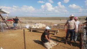 Bayramının son gününde satışlar devam etti