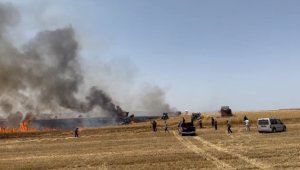 Beypazarı'nda buğday tarlasında hasat sırasında yangın çıktı