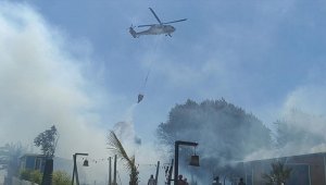 Bodrum'da makilik ve otluk alanda yangın çıktı