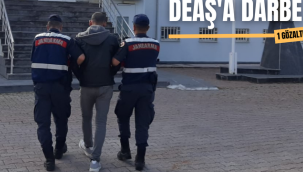 DEAŞ operasyonu: 1 gözaltı