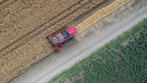 Devlet destekli tarım sigortalarında toplam sigorta bedeli 2022'de yıllık yüzde 138,1 arttı