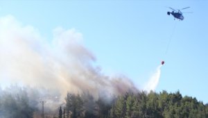 Gelibolu Yarımadası Tarihi Alan bölgesinde çıkan yangın kontrol altına alındı