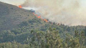 Gökçeada'daki orman yangını 16 saat sonra kontrol altına alındı