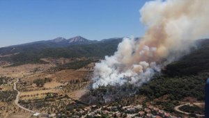 İzmir'in Güzelbahçe ilçesinde orman yangını çıktı