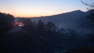 Kahramanmaraş'ta çıkan orman yangını kontrol altına alındı