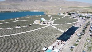 Karapınar'da lavanta festivali düzenlendi