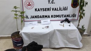Kayseri'de saksıda kenevir yetiştiren şüpheli yakalandı