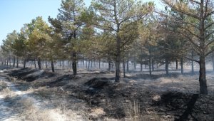 Konya'da erozyon önleme sahasında çıkan yangın söndürüldü